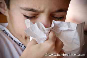Worst cold: Do symptoms for Covid and colds differ? - Barrhead News