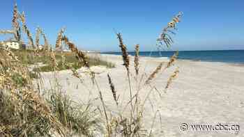 Snowbirds eye return to Florida even as sunshine state battles COVID-19