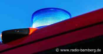 Feuerwehr rettet drei Igeljungen in Not