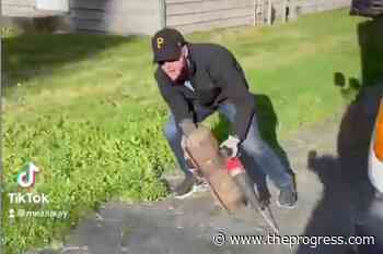 VIDEO: Surrey woman catches catalytic converter theft in progress – Chilliwack Progress - Chilliwack Progress