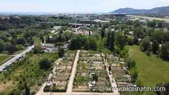 Comment ces communes sanctuarisent-elles les terres agricoles et espaces naturels?