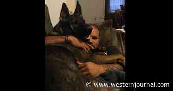 Guardian Angel? Officer's K9 Saves Neighbor from Vicious Dog Attack