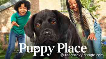 Apple TV+ reveals trailers for upcoming kids series ‘Puppy Place’ and ‘Get Rolling With Otis’