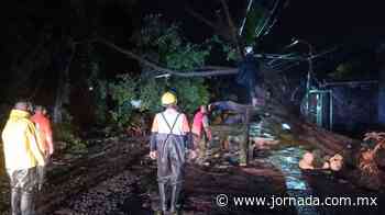 Estragos por aguacero en Cuernavaca - La Jornada