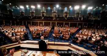 Democrat Introduces Measure to Abolish Military Branch That 'Threatened Longstanding Peace'