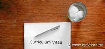 „Curriculum Vitae“ - Berufsausbildung - Teckbote Online