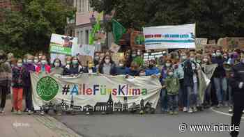 "Fridays for Future"-Demos senden Signal für die Wahl - NDR.de