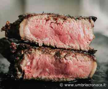 Foligno, sua Maestà il Bisonte a I Primi d'Italia - Il quotidiano che racconta l'Umbria - Umbria Cronaca