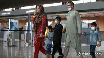 Republicans criticizing Afghan refugees face risks