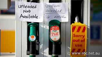 Thousands of British petrol stations run out of fuel as motorists panic buy