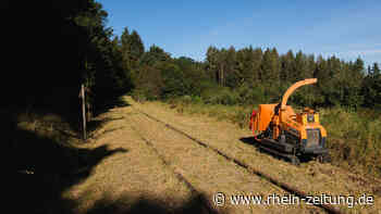 Arbeiten an stillgelegten Gleisen: Beginnt der Freischnitt der Eifelquerbahn? - Rhein-Zeitung