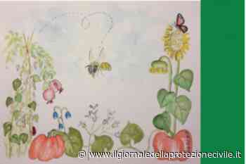 Ispra: il 9% di api e farfalle è a rischio estinzione - Giornale della Protezione civile