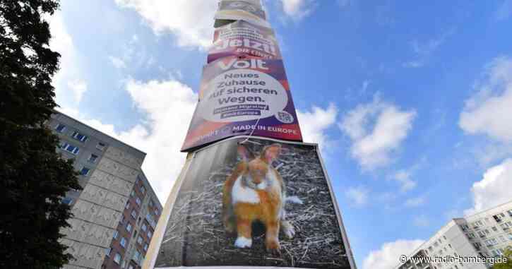 AfD stärkste Partei in Thüringen und Sachsen