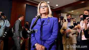 Cheney on same-sex marriage opposition: 'I was wrong'
