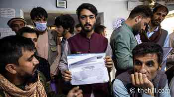 Pressure grows to cut diplomatic red tape for Afghans left behind