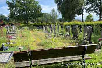Oppositie kaart onkruidbeheer aan: “Spandoeken met uitleg helpen ons niet vooruit” - Het Nieuwsblad