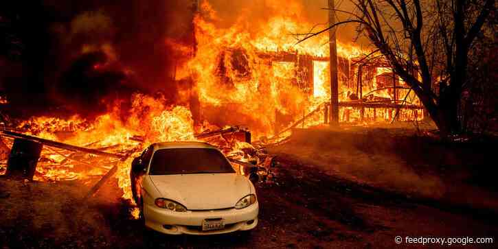 Expensive housing is the reason the planet is burning, the rich are getting richer, and women are choosing to have fewer children