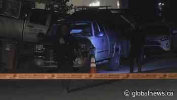 Montreal police investigate shooting in Dollard-des-Ormeaux | Watch News Videos Online - Globalnews.ca