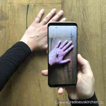 Spinnenangst per App bekämpfen - radioeuskirchen.de