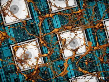 Samsung wants to copy and paste a brain