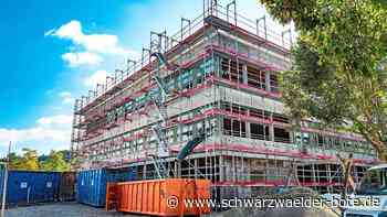 Calwer Gymnasium - Schulsanierung wird nochmals teurer - Schwarzwälder Bote