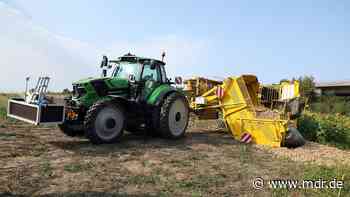 Erntemaschine bei Dresden umgekippt: Fünf Kinder verletzt - MDR
