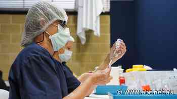 Fair Work ruling on woman fired for refusing flu jab reveals the divide on COVID-19 vaccine mandate