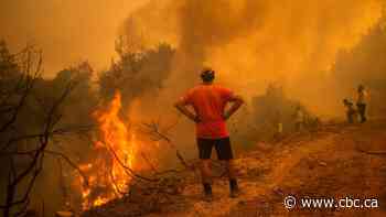After devastating European fire season, experts call for new approach to protecting forests