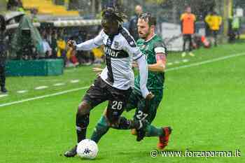 Gdp: "Un passo avanti sulla strada giusta" - Forza Parma