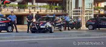 Rafforzati i controlli tra Conegliano e Oderzo, quattro denunciati e trenta automobilisti sanzionati - Prima Treviso