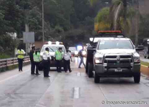 Registran carambola de al menos 8 vehículos en bulevar Xalapa-Coatepec - Imagen de Veracruz