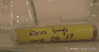 „Geschichten über den Tod hinaus“ im Riesaer Museum - Riesa TV