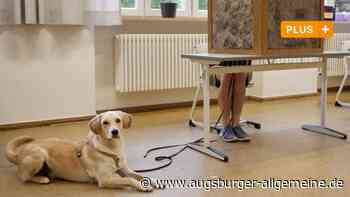 Bildergalerie: Bundestagswahl 2021 in Augsburg: Der Wahlsonntag in Bildern - Augsburger Allgemeine