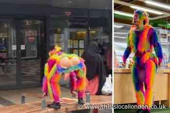 Council to approve all kids shows after monkey incident