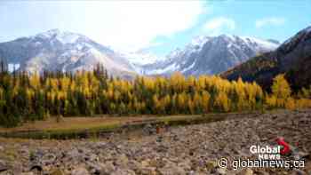 Fall travel ideas in Alberta