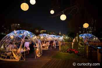 10 of the best things to do in Calgary this week (September 27-October 1) - Curiocity