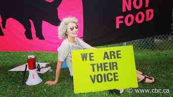 Driver charged in death of Hamilton woman giving water to pigs at protest has first day in court