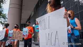 Biden administration moves to preserve DACA after court ruling