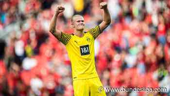Dortmund setzt auf Augsburg-Schreck Erling Haaland - Bundesliga.de