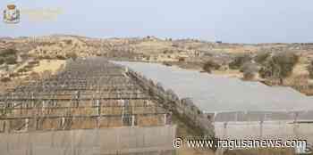 Gela, la "fabbrica dell'erba" da 3 milioni e mezzo di euro FOTO | VIDEO - RagusaNews