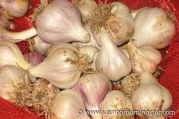 A Gardener’s Diary: Get things winter ready - Vernon Morning Star