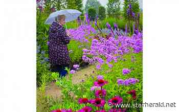 The Gestalt Gardener: Native plants not necessarily superior | starherald.net • The Star-Herald • Kosciusko, Mississippi - Kosciusko Star Herald