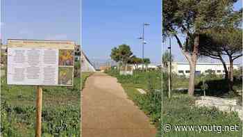 Cagliari, la denuncia: "Erba alta al parco del Nervi appena inaugurato" - YouTG.net