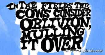 Kevin Young’s Latest Poems Are at Play Among the Dead