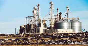 Feedlot situation improving slowly