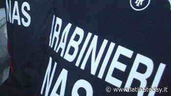 Violate le regole sul Green Pass: disposta la chiusura di una sala scommesse - LatinaToday