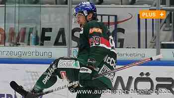 Die Gründe für den Aufschwung der Panther