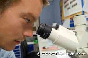 Wer JinkoSolar jetzt nicht kauft, ist selber Schuld!