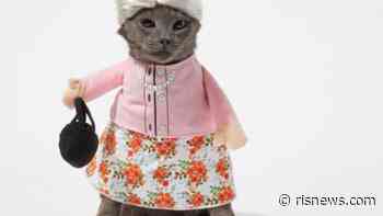 Chewy and Party City Get In the Spirit