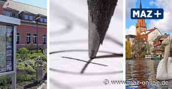 Bundestagswahl: So haben Rathenow, Premnitz und Milower Land im Wahlkreis 60 gewählt - Märkische Allgemeine Zeitung